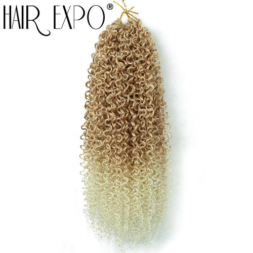 14"Curly Passion Twist Crochet Hair Synthetic Yanky Twist Braiding